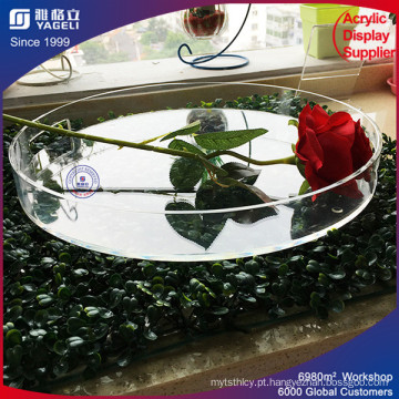 Round Clear Acrry Fruit Food Tray